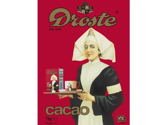 Cacao Droste 250gr