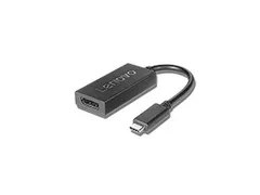 Lenovo 4X90Q93303 0,2 m USB Type-C DisplayPort Mannelijk Vrouwelijk