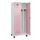 locker voor scheiding van kleding,HxBxD 1950x800x500mm,2vak