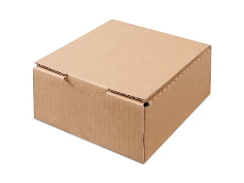 Verzenddoos Postdoos 120x100x80mm Bruin Pak a 50 Stuks