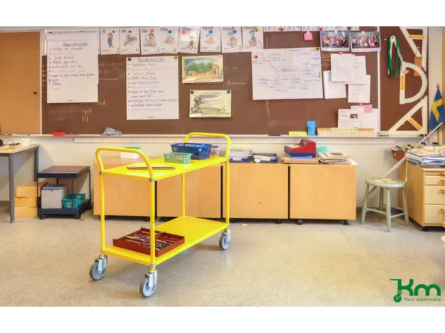 etagewagen,draagverm. 250kg,2etage(s),laadvl. LxB 900x440mm