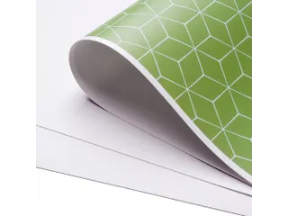 Placemat 45x32cm PVC Foya Bloemen 6 Stuks - 3