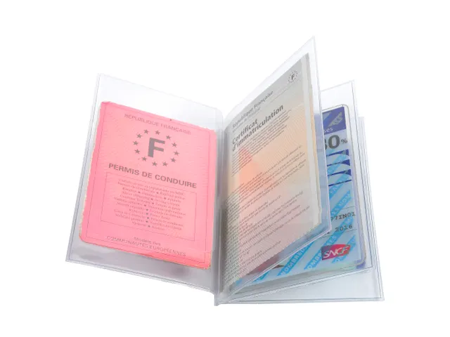 Beschermetui PVC 4 k leppen multikaart