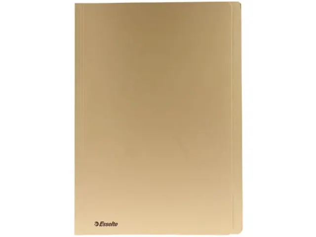 Esselte Dossiermap Geel 300 Gram Folio