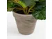 Kunstplant Mica Begonia wit in pot Stan grijs 25x30cm