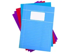 Schrift Verhaaktrend A4 80Blz Gelinieerd Assorti