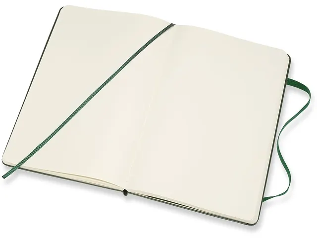 Carnet de notes Moleskine XL 130x210mm ligné vert myrte