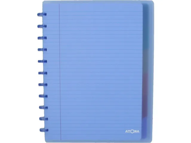 Spiraal schrift A4+ 60 vel gelijnd kaft in PP assorti met 6 tabs en 5