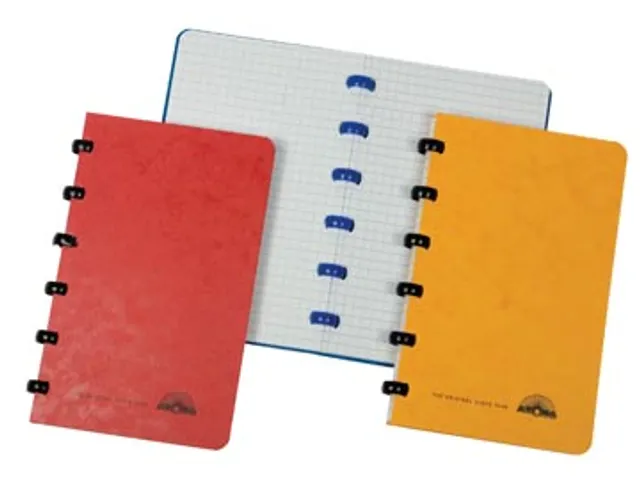 Notaboekje Ft 100x165mm ruit 5mm assorti