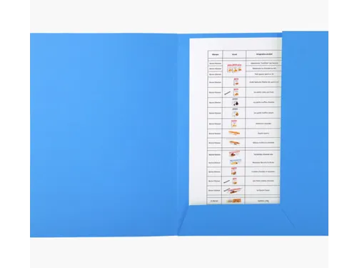 Dossiermap Exacompta Forever 290gr A4 2 kleppen blauw