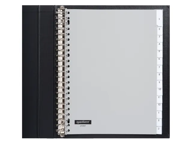 Tabbladen Quantore A4 23-Gaats 15-Delig Met Venster Grijs Pp