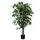 Kunstplant Mica Ficus groen in pot 85x150cm