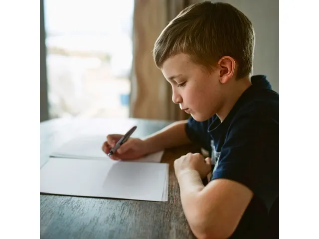 Vulpen Schneider Ray L Onyx