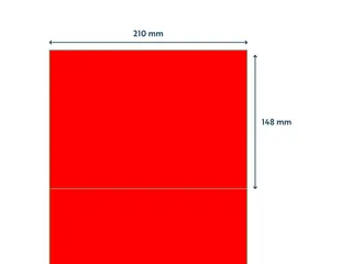 Etiket 210x148mm Fluor Rood 100 Vel - 3