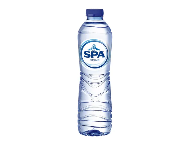 Water Spa Reine blauw petfles 500ml Pallet