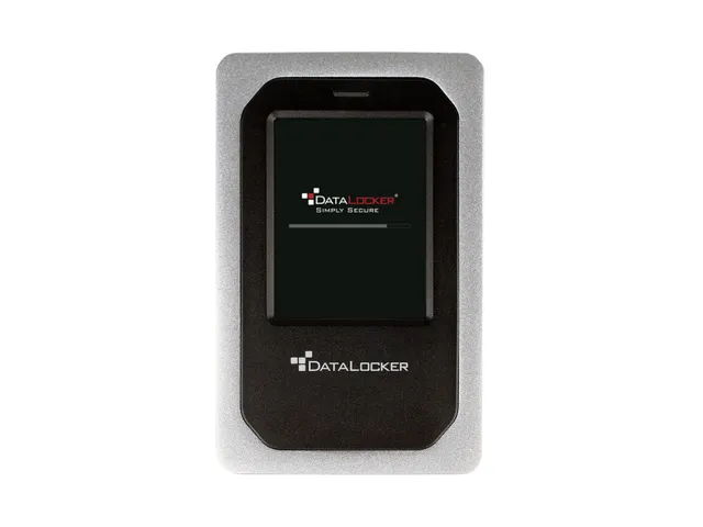 DataLocker DL4 FE externe harde schijf 500GB 5400 RPM 2.5 inch USB Ty