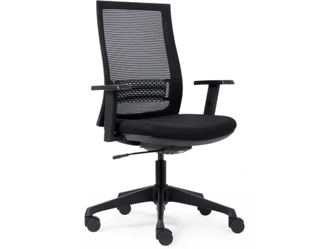 Bureaustoel Basic Ergo Net Zwart Lendensteun