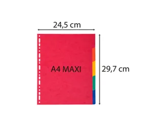 Tabblad glanskarton 225g 5-delig A4 maxi Assorti - 4