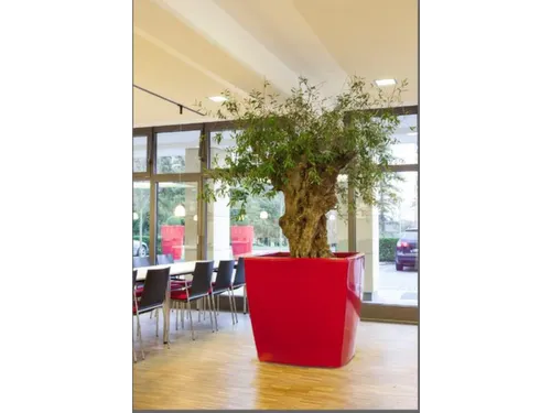plantenpot,trapeziumvormig,PE,robijnrood,HxBxD 900x1000x1000mm,380l
