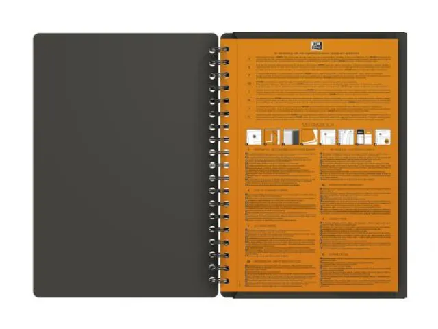 Notitieboek Oxford Int Meetingbook Connect B5 ruit