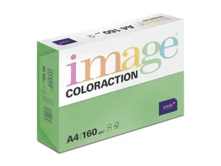Kopieerpapier Dublin Donkergroen A4 160 Gram 250 Vel - 2