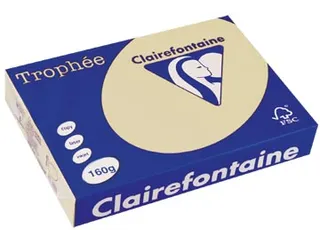Trophée Pastel gekleurd papier A4 160 gram 250vel Chamois gems - 2