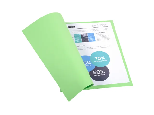 PK 50 dossiermappen FOREVER 170 Groen