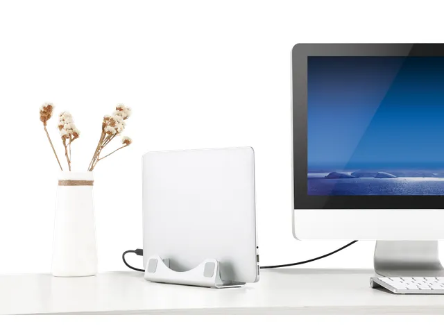 DESQ Aluminum Desktop Notebook Stand