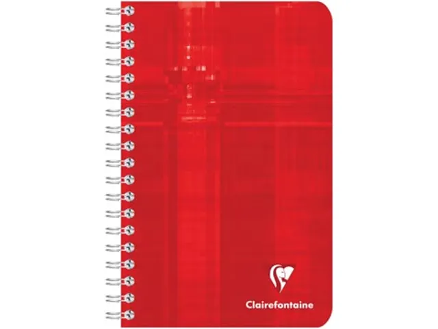 Zakboekje Spiraal 110x170mm ruit Assorti