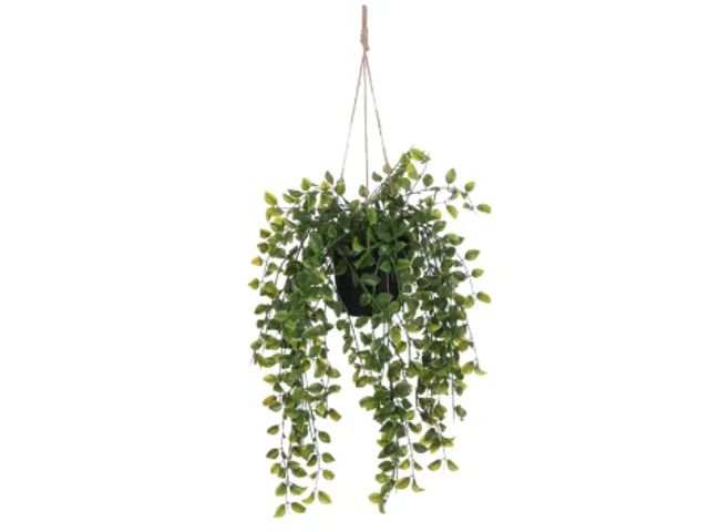 Kunstplant Mica Ficus hangend in pot groen 20x46cm