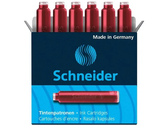 Inktpatroon Schneider Rood 6 stuks