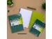 Projectboek Pukka Pad Recycled B5 lijn 4-tabs 200 pagina's 80gr groen