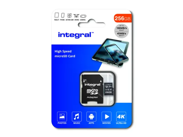 Geheugenkaart Integral microSDXC 256GB