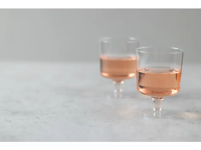 Wijnglas Papstar 200ml Ø 72 mm kunststof transparant 10 stuks