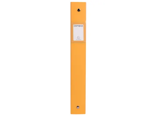 Ringmap PP A4 2R 30mm CAMPUS NEON