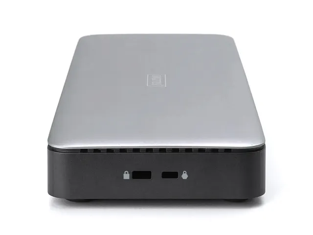 DIGITUS USB-C Docking Station 13 Poort Grijs