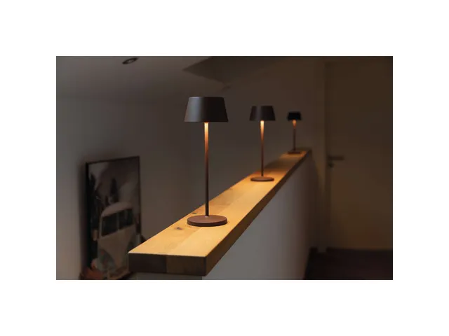 Lampe de table LED à pile MAULnina réglable marron