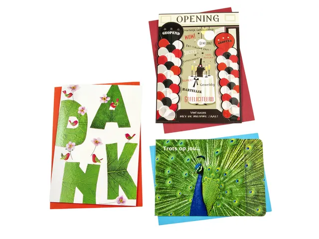 Wenskaart Paperclip diversen navulset à 12 stuks