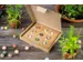 Giftbox Blossombs box à 9 zaadbommetjes