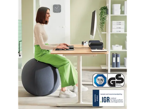 Leitz Ergo Actieve Zitbal anti-rol 65cm Donkergrijs