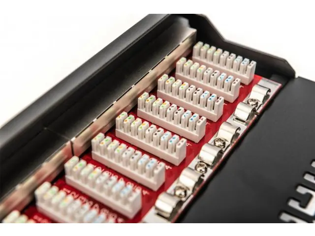 CAT 6A Patchpaneel afgeschermd 12-poorts 1U 10'' rackmontage zwart