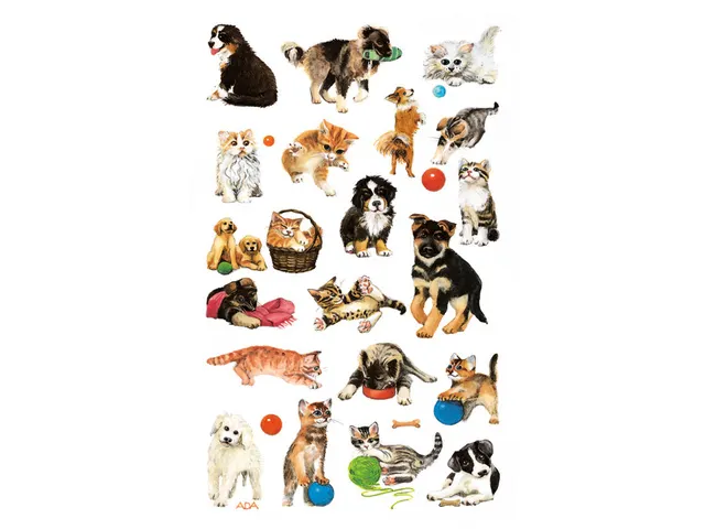 Étiquette en papier Z-design 3 feuilles chiens et chats