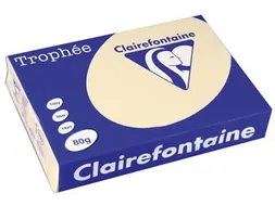 Trophée Pastel gekleurd papier A4 80 gram 500vel Chamois