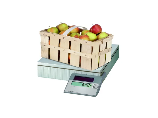 Pakketweger MAUL Parcel S 30x30cm solar 50kg