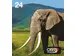 Multipack 6-colours 24 EasyMail