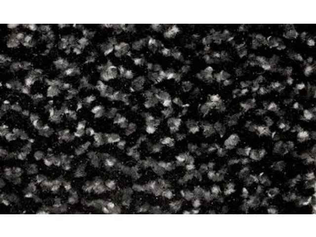 Floortex Vloermat 60x90 Cm