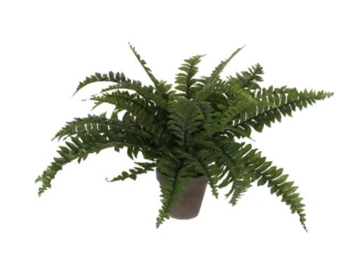 Kunstplant Mica Boston varen groen in pot 42x50cm