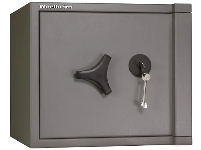 Wertheim AG 10 Inbraakwerende Kluis