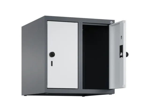 opzetkast,v. locker,2vak.,vak B 250mm,HxBxD 500x500x500mm,vleugeldeur