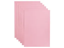 Kopieerpapier Papicolor A4 100gr 12 vel babyroze